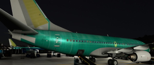 737-700 Factory Roll out livery thumbnail 9