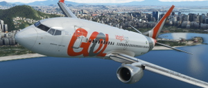 737-700 GOL (PR-GIG - 2016) 2 pack versions thumbnail 9