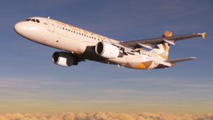 [8K] ETIHAD livery for FENIX A320 thumbnail 12