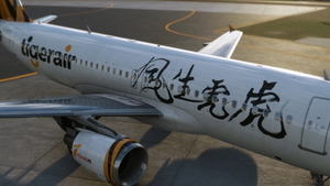 [8K] Fenix A320 | Tigerair Taiwan | "Year of the Tiger" Special | IAE SL thumbnail 2