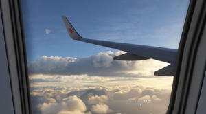 Air China I B-5202 [4K] I PMDG 737-700 thumbnail 8