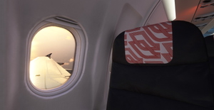 Air France "2021 livery" "F-GKXR" "Rochefort" Fenix A320 Ceo with cabin thumbnail 23