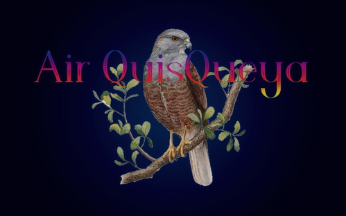 Air QuisQueya | Hispaniolan Sparrowhawk | 8K