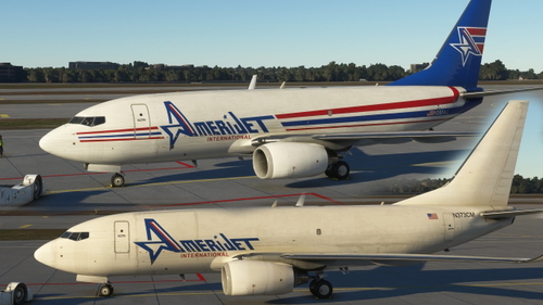 Amerijet (Fictional) pack for the PMDG 737-700BDSF
