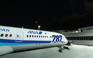 ANA 787 logo JA824A 全日空  Dreamliner /ALL NIPPON AIRLINES　 thumbnail 6