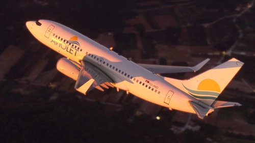 AVIOLET - PMDG 737-700 | Livery By FlightFlow
