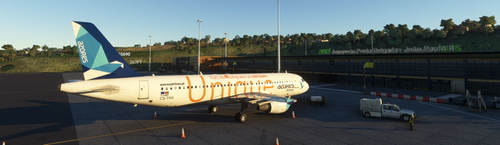 azores airlines UNIQUE