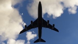 B747-8 Cargo - Salty version - Pornhub (Logo only) thumbnail 4