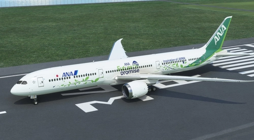 B78X All Nippon Airways ANA Future Promise [8K|No mirroring]