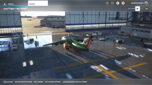 BAe 146-300QT Inspired by Eddie Stobart for Twocats