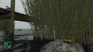 Bear Island, Florida thumbnail 15