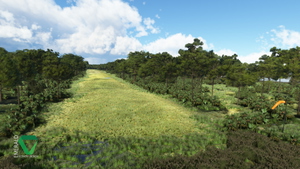 Bear Island, Florida thumbnail 3
