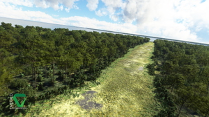 Bear Island, Florida thumbnail 4