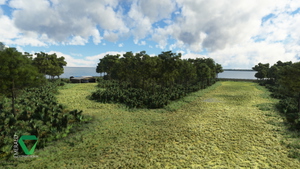 Bear Island, Florida thumbnail 5