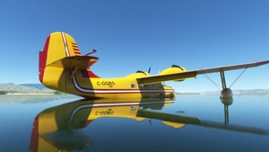 Big Radials Goose -  Canadair CL-415 Scooper 245  thumbnail 12