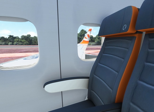 Cabin Seats Gol Linhas Aéreas PMDG 737-700