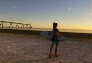 CAP FERRET - BASSIN ARCACHON - PLAGE OCEANNE - HOPITAL ARCACHON - LACANAU  FULL PACK V1 thumbnail 8