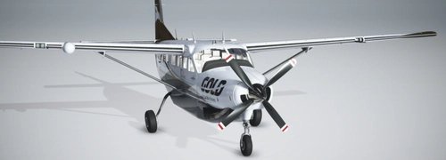 Cessna 208B - Gold Virtual Airlines 10 Years