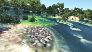 Charente wonders thumbnail 9
