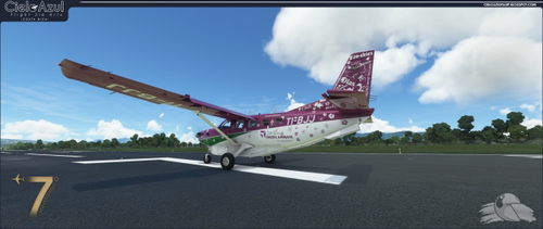 Costa Rica Green Airways | TI-BJJ | SimWork Studios Kodiak 100 [8K]