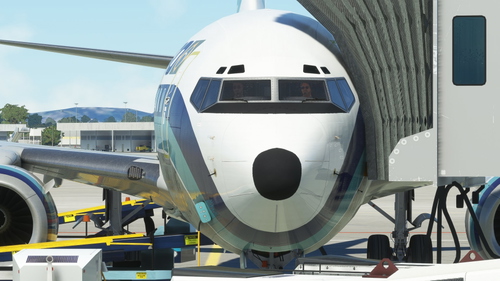 Cruzeiro do Sul 737-700 PP-CLF PMDG