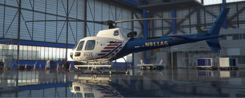 H-125 (RotorSimPilot) D.C. Metropolitan Police N911AS