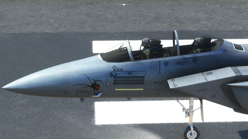 DC Designs F-15E Strike Eagle 391st EFS "BlackWidow" 