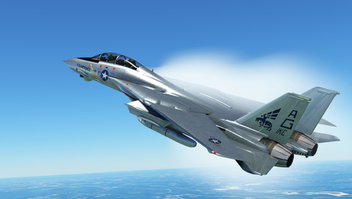 DCdesign F-14B USAF IKE