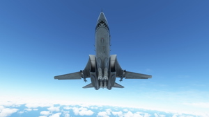 DCDesigns F-14 VF-101 Grim Reapers Pack thumbnail 13