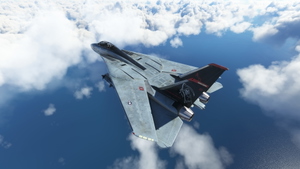 DCDesigns F-14 VF-101 Grim Reapers Pack thumbnail 4