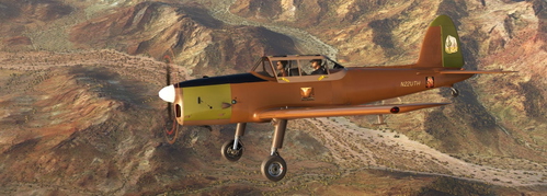DHC-1 Chipmunk AH N22UTH Brown