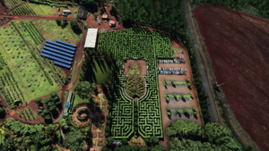 Dole Pineapple Plantation Wahiawa, Hawaii thumbnail 5