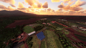 Dole Pineapple Plantation Wahiawa, Hawaii thumbnail 4