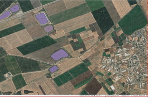 DEM / ETM12 Enhanced Terrain Mesh 12m for Israel     [DEPRECAED] thumbnail 22