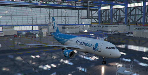 Fenix a320-200 Frenchbee with interior.