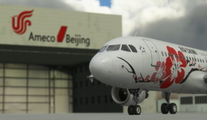 Fenix A320 Air China Splendid Hubei B-6610 Special Color thumbnail 10