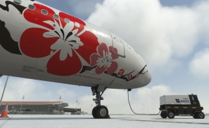 Fenix A320 Air China Splendid Hubei B-6610 Special Color thumbnail 6