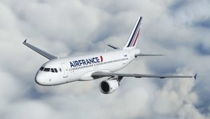 Fenix A320 Air France F-HEPC (Block 2) thumbnail 1