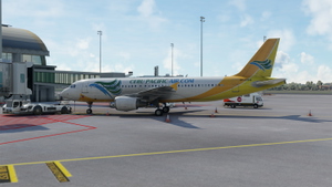 Fenix A320 Cebu Pacific Air Wx with Cabin (RP-C3266) thumbnail 4