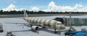 FENIX A320 Condor Modern 2022 (All Colours) Pack thumbnail 5