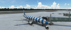 FENIX A320 Condor Modern 2022 (All Colours) Pack thumbnail 4