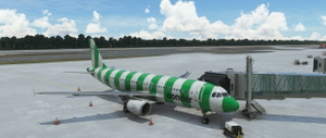 FENIX A320 Condor Modern 2022 (All Colours) Pack thumbnail 3
