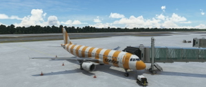 FENIX A320 Condor Modern 2022 (All Colours) Pack thumbnail 2