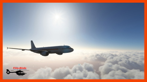 Fenix A320 Livery - Flugbereitschaft des Bundesministeriums der Verteidigung (Luftwaffe) - 15 + 04 thumbnail 7
