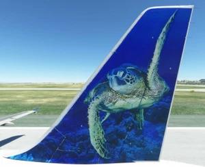 Fenix Frontier A320 N210FR Sheldon the Sea Turtle 8K thumbnail 1