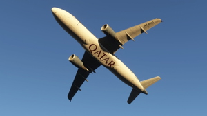 Fenix Airbus A320 Qatar Airways | 4K thumbnail 6