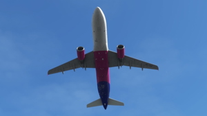 Fenix Airbus A320 Wizz Air | Cabin textures | 4K  thumbnail 4