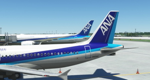 FENIX | ANA | JA-8304  thumbnail 3