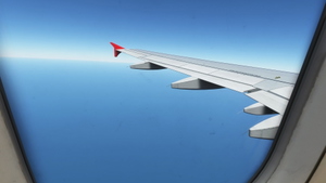 FENIX SIM A320 custom camera views thumbnail 7