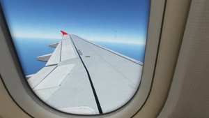 FENIX SIM A320 custom camera views thumbnail 6